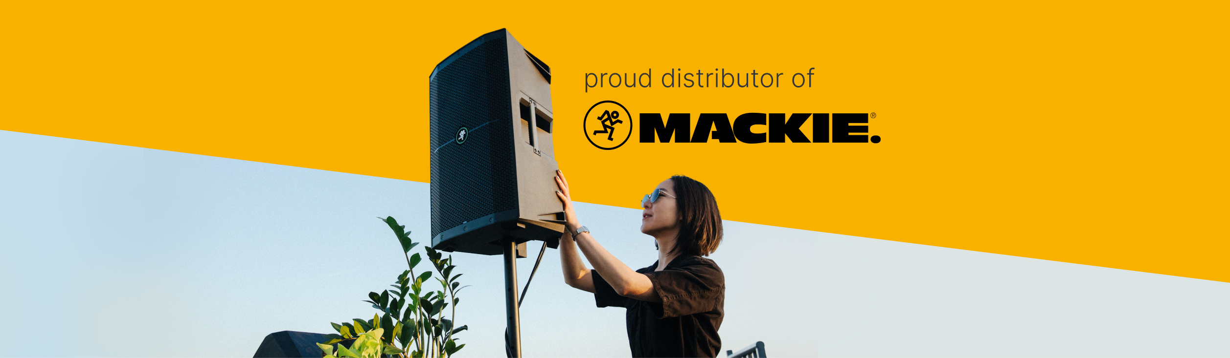 Mafico is proud to welcome: Mackie!