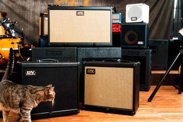 DV Mark guitar amplifier amp cabinet
