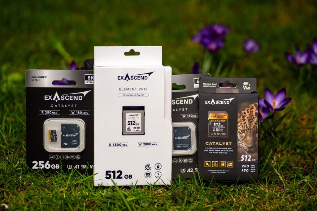 The Most Overlooked Risk in Photography: Memory Cards - Jan Ulicki