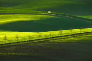 Jan Ulicki - Exascend - Memory Card